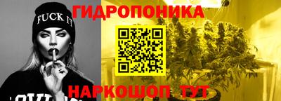 mdpv Кингисепп
