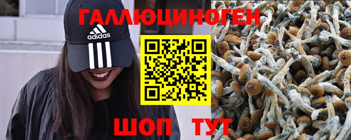 Псилоцибиновые грибы прущие грибы  Вход с VPN  Холмск 